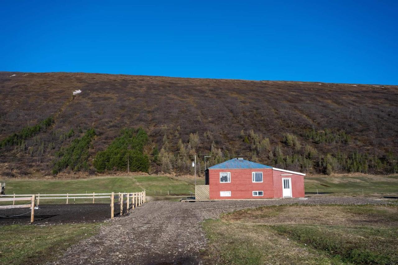 Kiðagil森杜歌宾馆别墅 外观 照片